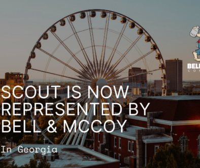 2025 Bell and McCoy Georgia News Scout