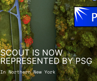 PSG New York News Scout