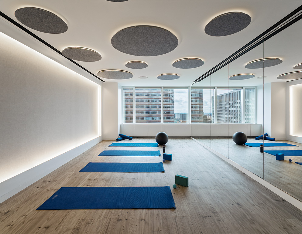 LibreMax-Discus-featured image