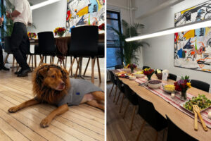 Scout Friendsgiving 3