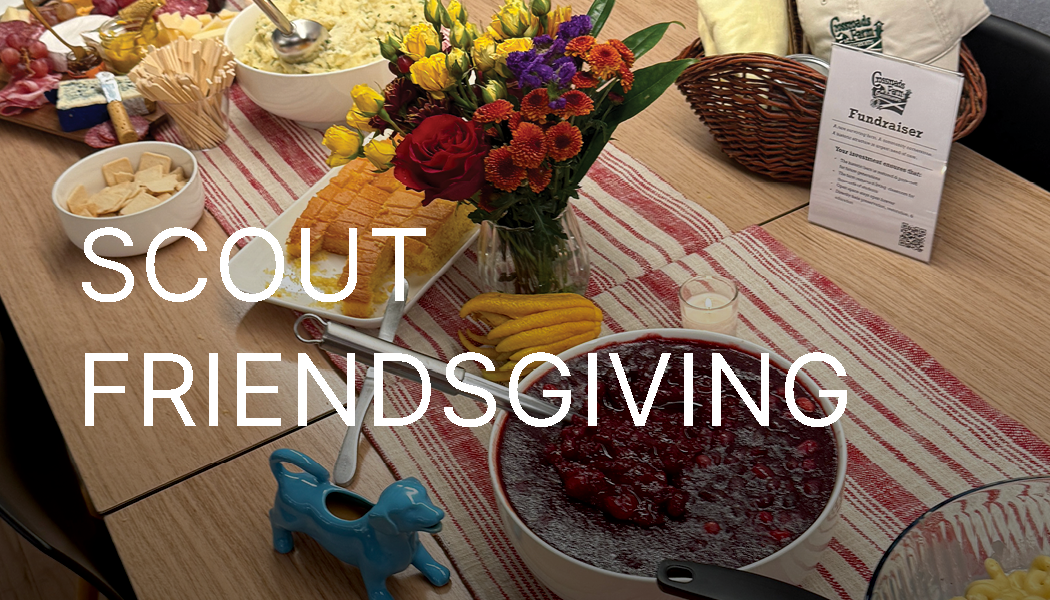 Scout Lighting Updates Winter 2025