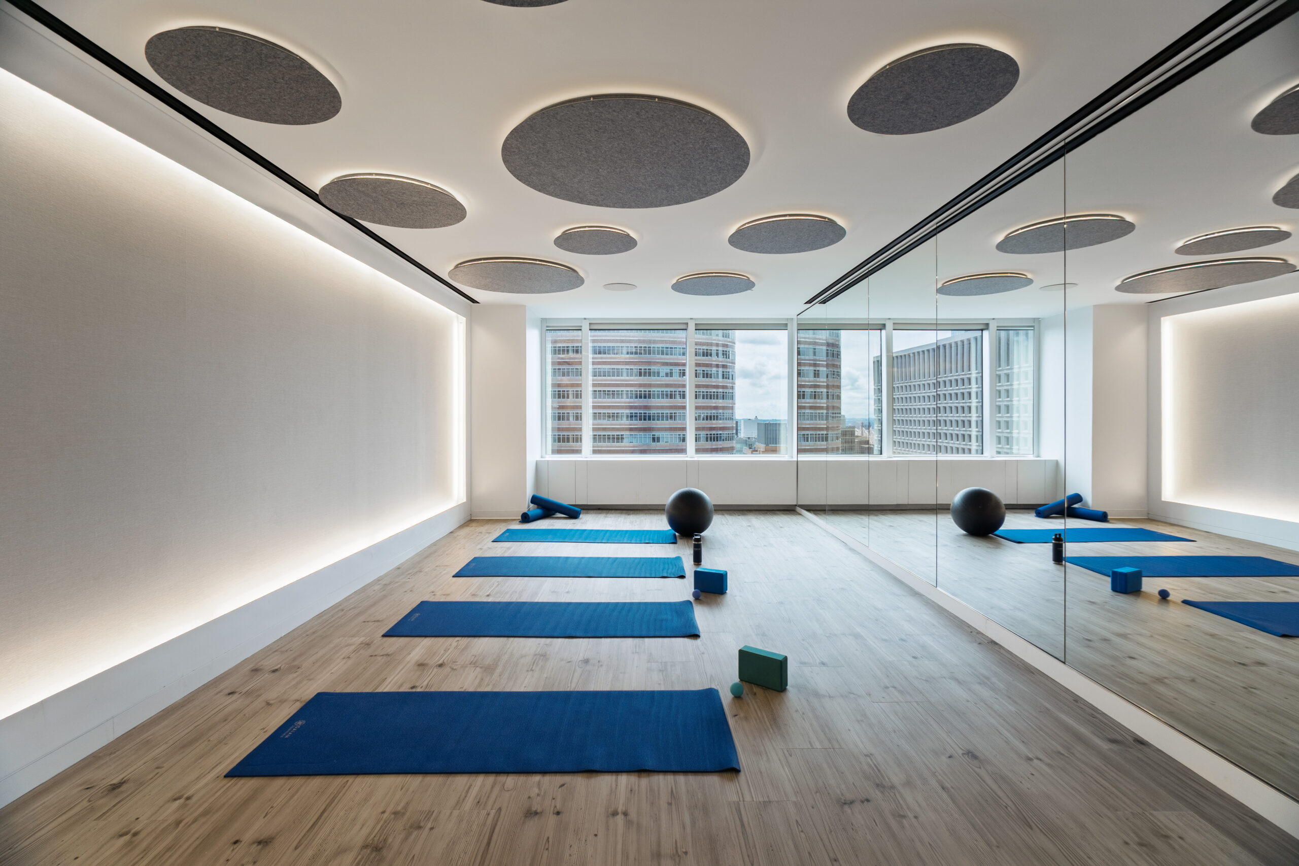 TPG Architecture LibreMax Scout Lighting Discus