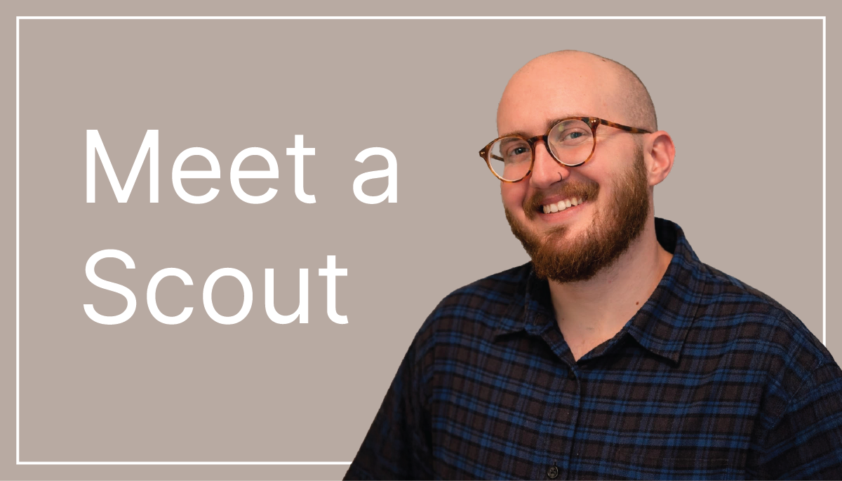 Scout Lighting Updates February 2026