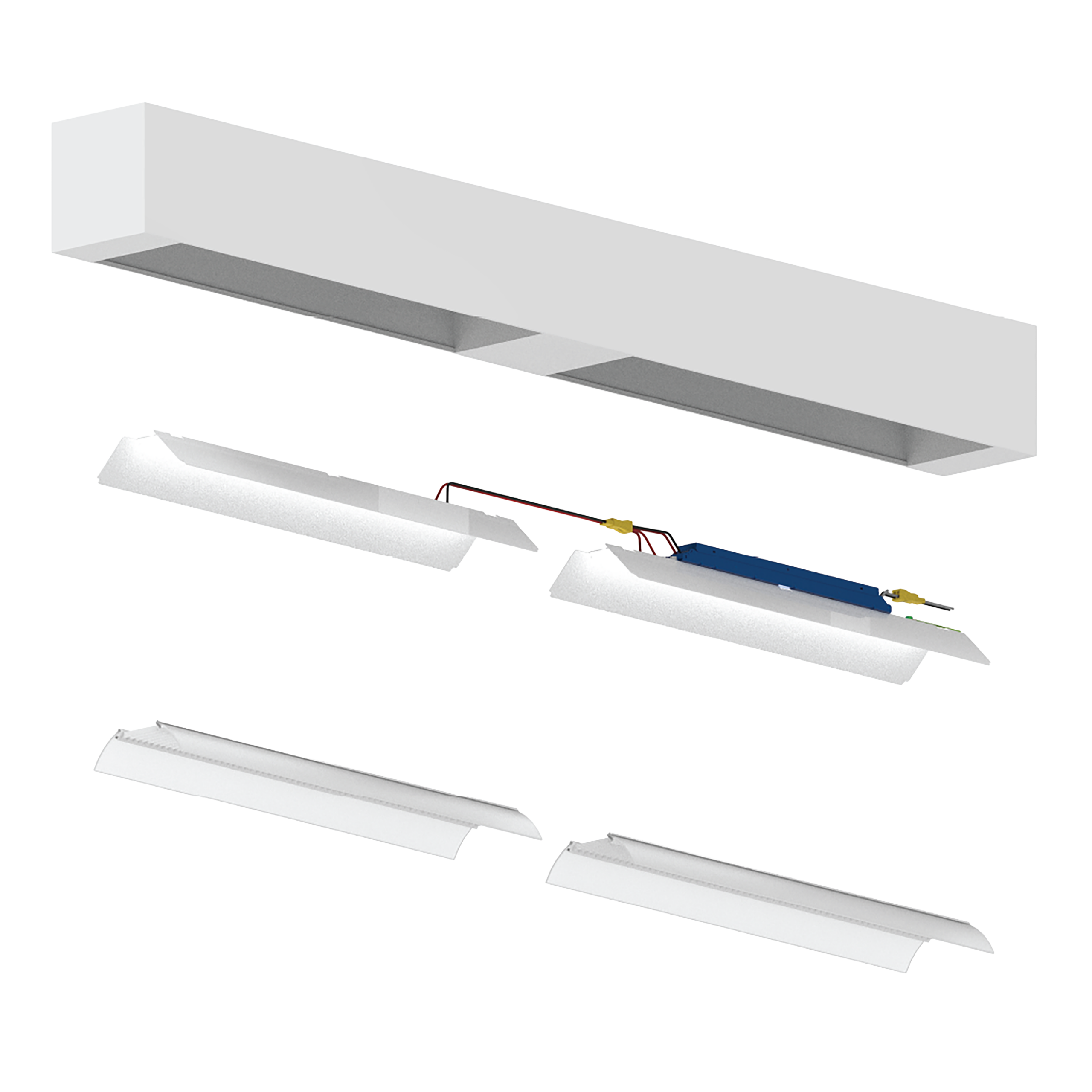 Sustainability at Scout